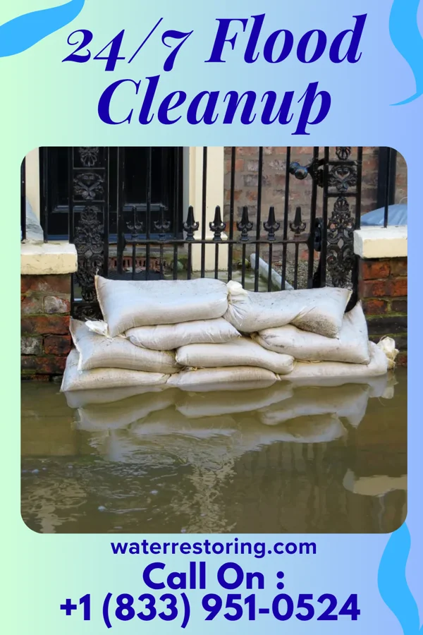 24/7 Flood Cleanup in Buffalo Springs, TX