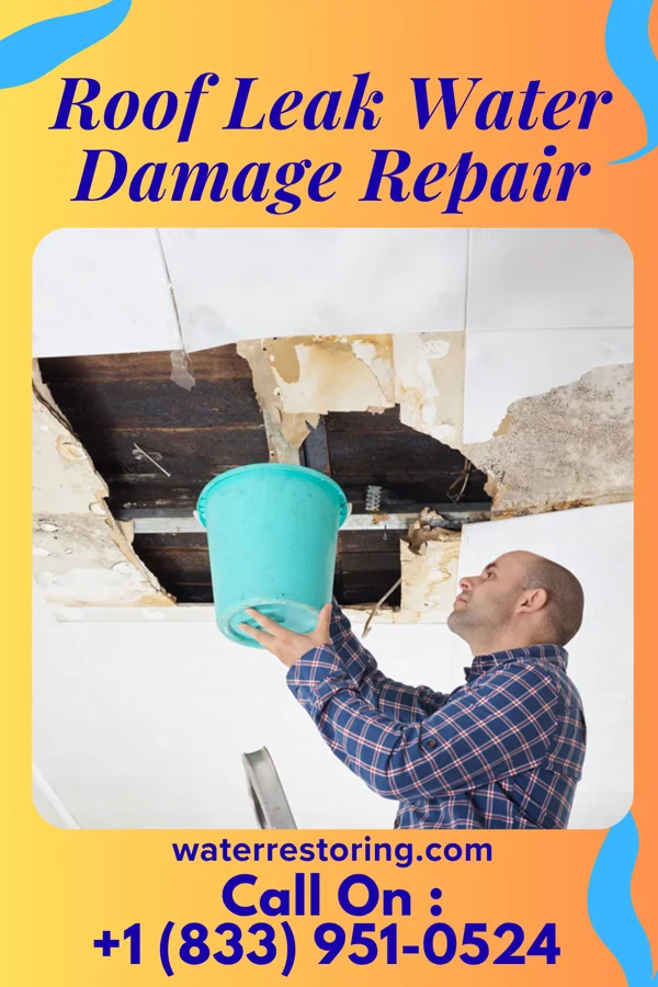 Roof Leak Water Damage Repair in Buffalo Springs, TX