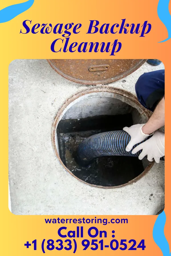 Sewage Backup Cleanup in Buffalo Springs, TX