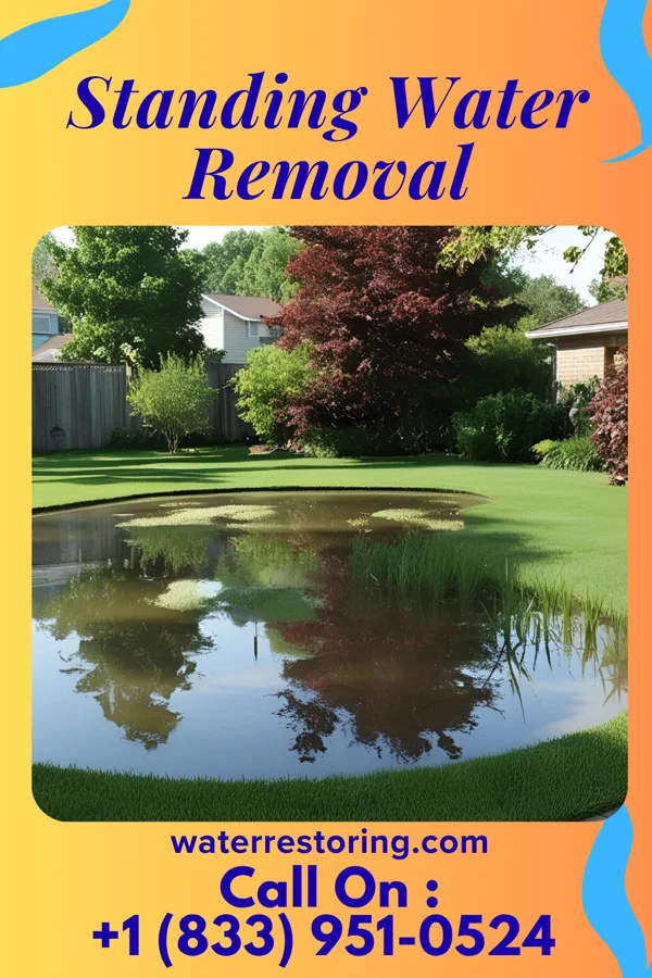 Standing Water Removal in Buffalo Springs, TX